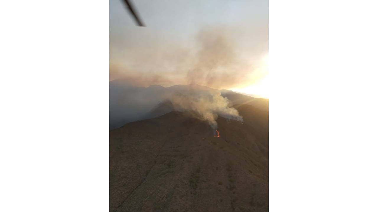 Datça'da Orman Yangını(13)