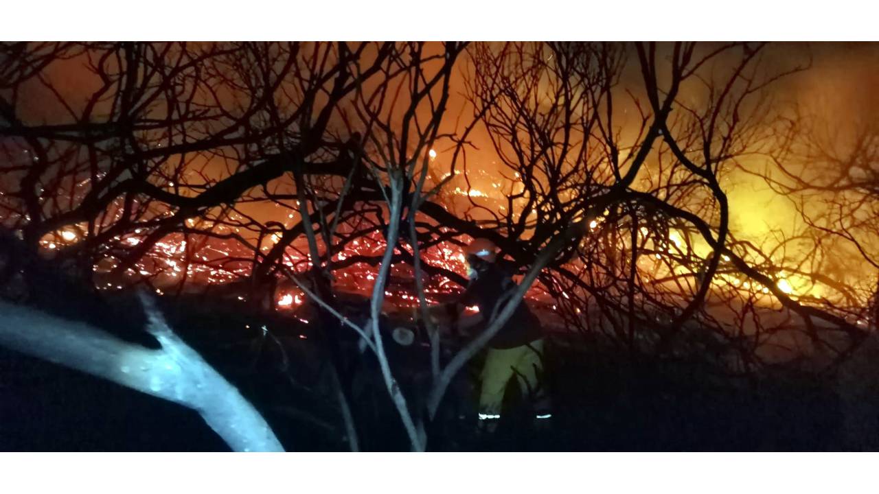 Antalya'da Çay Kenarındaki Sazlık Ve Ağaçlıkta Çıkan Yangın, 3 Saatte Söndürüldü