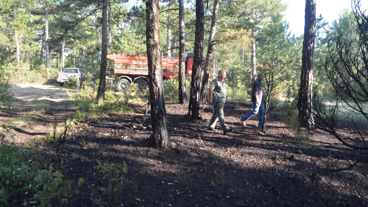 Kütahya'da Orman Yangını