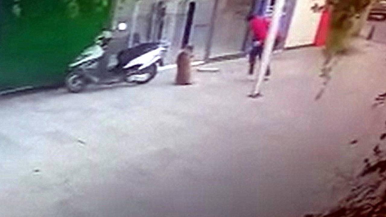 Sokak Köpeği Boris'i Bıçaklayarak Öldürdü, O Anlar Kamerada