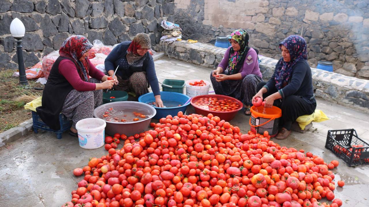 Kadınlar Kurdukları Kooperatifle Aile Ekonomisine Katkı Sağlıyor
