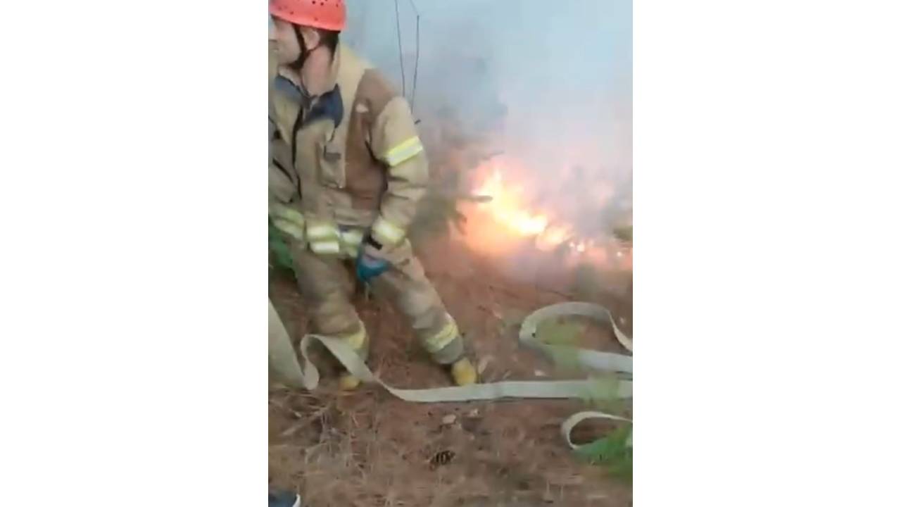 Beykoz'da Orman Yangını