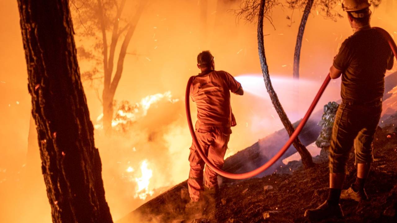 En Büyük Yangında Yeşile Dönüş Yüzde 80 Tamamlandı