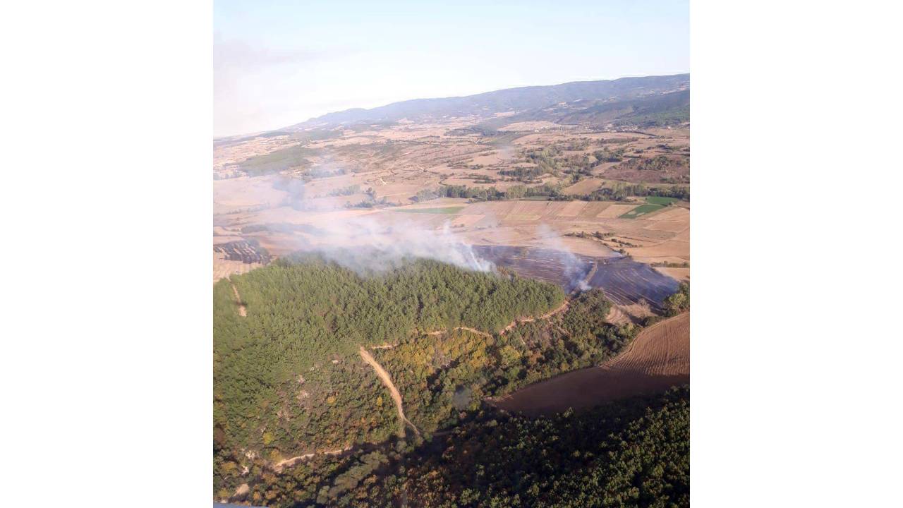 Tekirdağ'da Çıkan Orman Yangını Söndürüldü