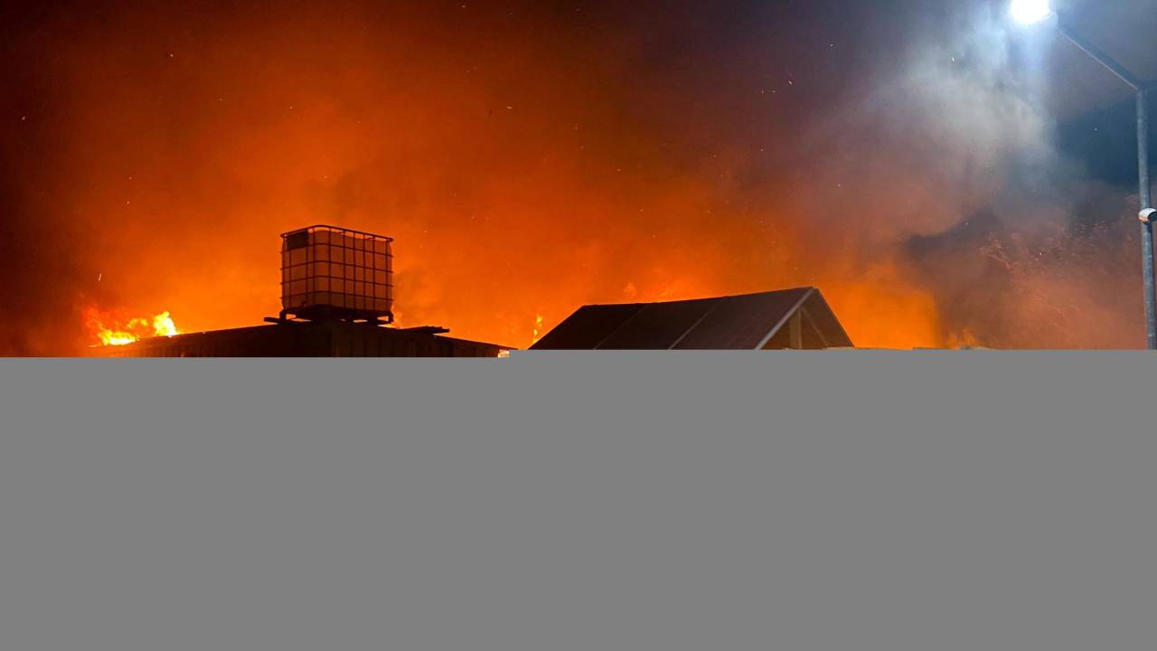 Tekirdağ'da Çiftlikte Yangın; 10 Küçükbaş Öldü, 10 Ton Buğday Yandı