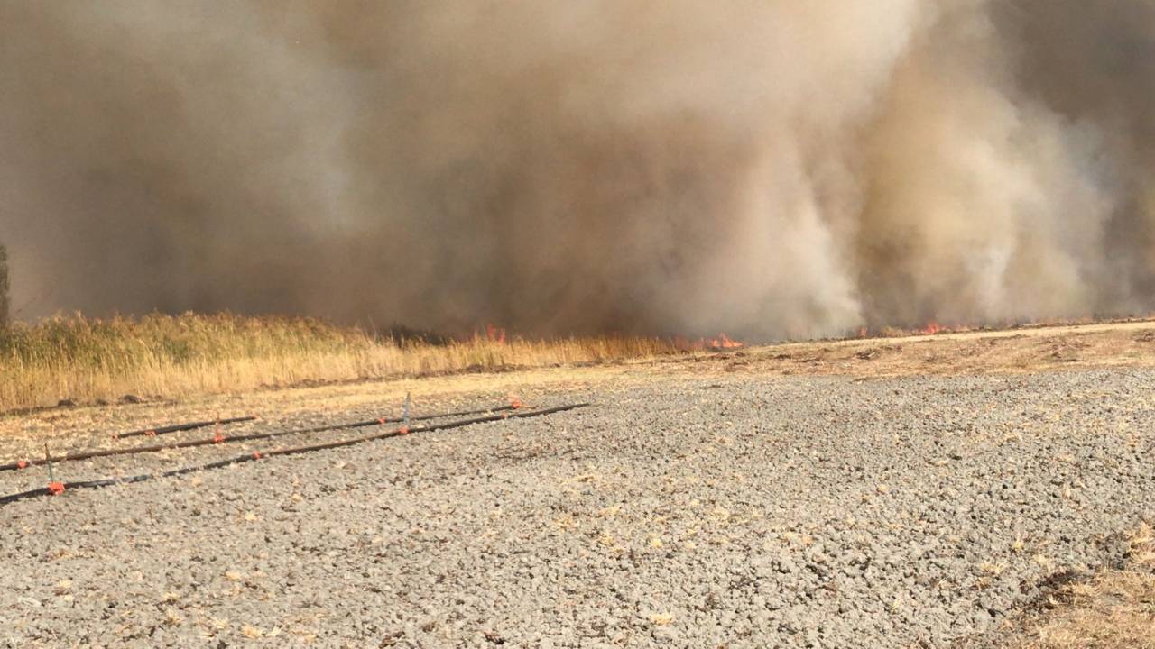 Eber Gölü’nde Sazlık Yangını 6 Saatte Söndürüldü