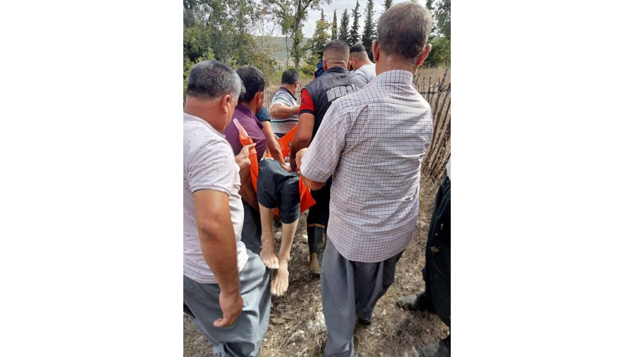 Bahçesindeki Çalıları Ateşe Verdi, Alevler Kontrolden Çıkınca Kalp Krizi Geçirip Öldü