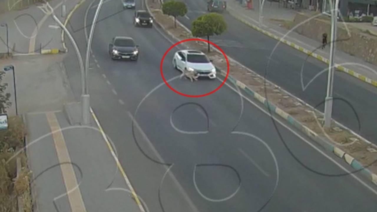 Köpeğe Çarpan Otomobil, Kazaya Yol Açtı; O Anlar Kamerada