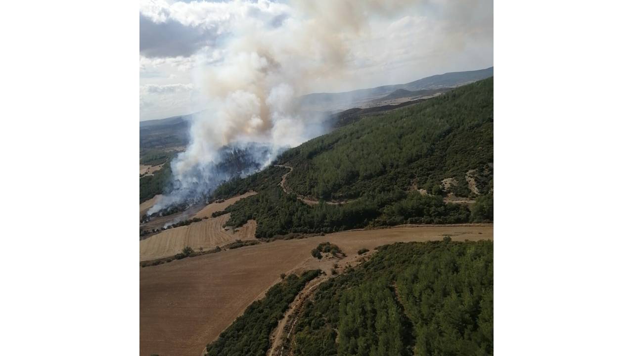 Çanakkale'de Orman Yangını (1)