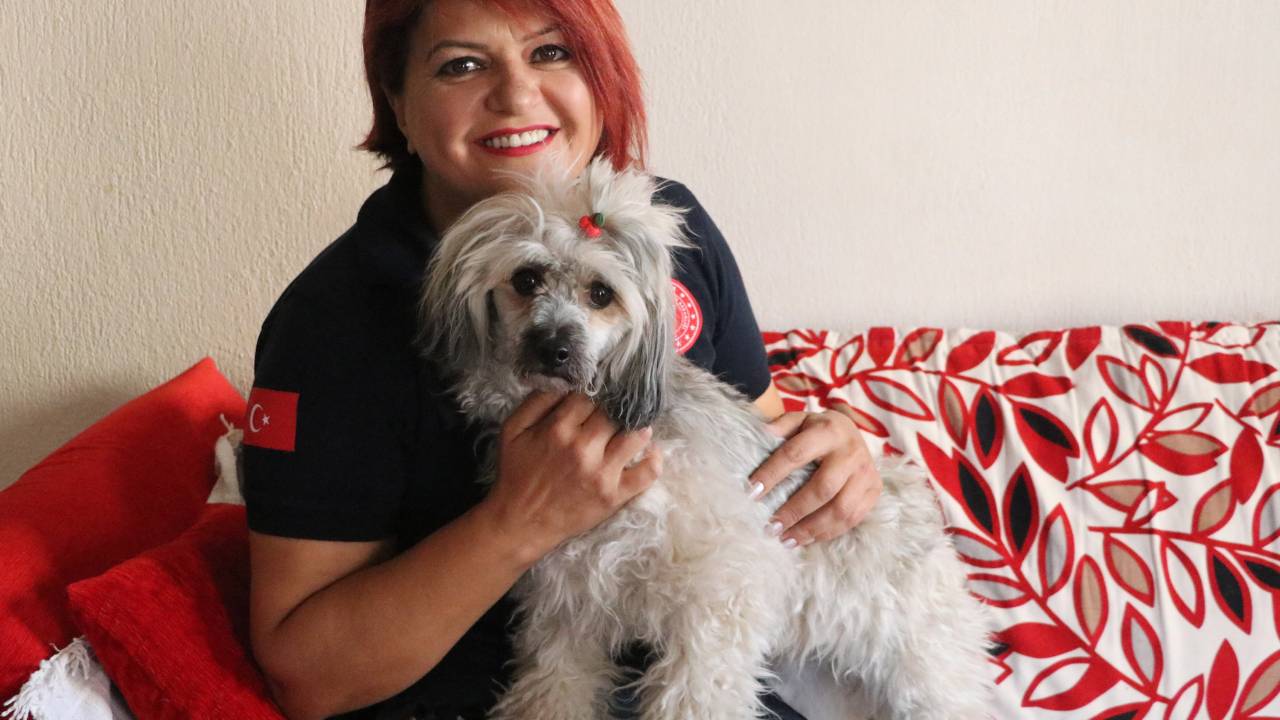 Ambulans Hemşiresi, Karavanla Kaza Yapan Çekyalı Çiftin Köpeğine Sahip Çıktı