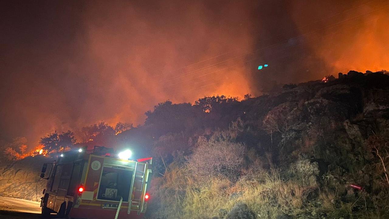 Bodrum'da Makilik Yangını; 5 Dönüm Zarar Gördü