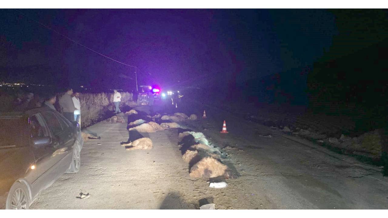 Otomobil Sürüye Çarptı; 30 Koyun Öldü