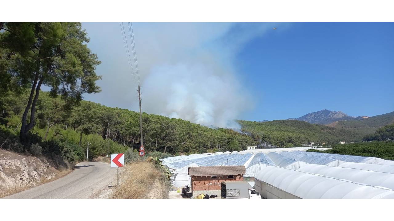 Antalya'da Orman Yangını (1)