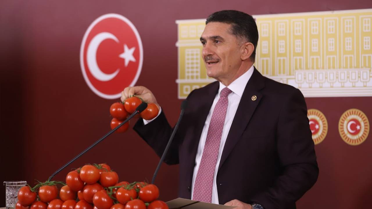AK Parti'li Ekrem Çelebi: Ağrı domateste Antalya'ya rakip olacak