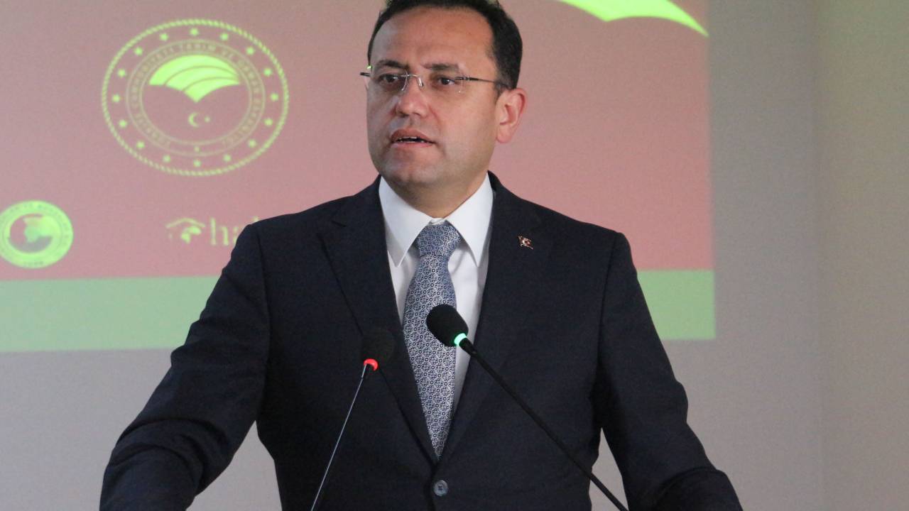 Bakan Yardımcısı Gizligider: Ekilmeyen alanlar için yasal düzenleme getiriyoruz