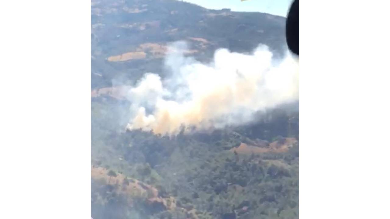 Manisa'da Orman Yangını (1)