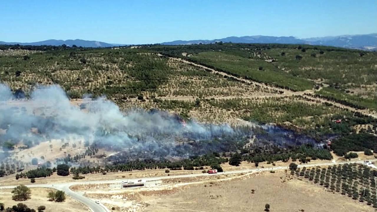 Tarım Arazisinde Çıkan Yangın, Ağaçlandırma Sahasına Sıçradı