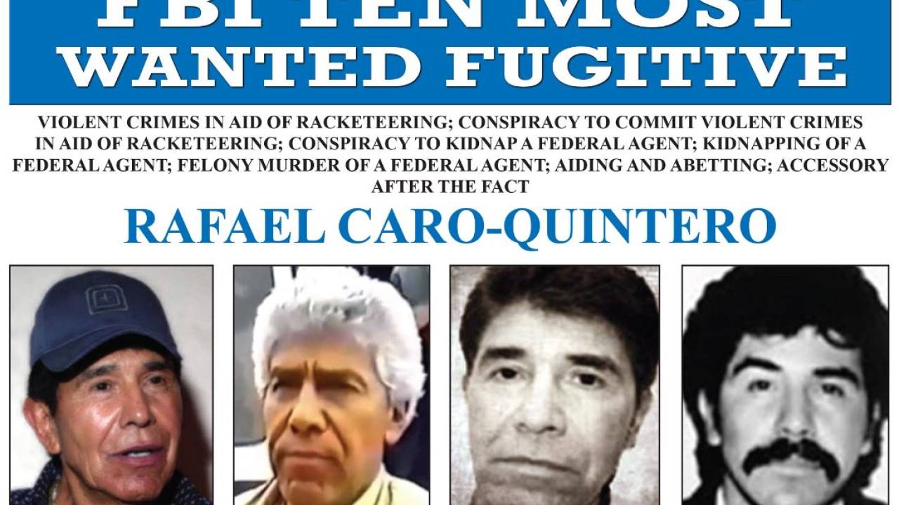 Dizilere Konu Olan Uyuşturucu Karteli Liderini Max Adlı Özel Eğitimli Köpek Yakaladı