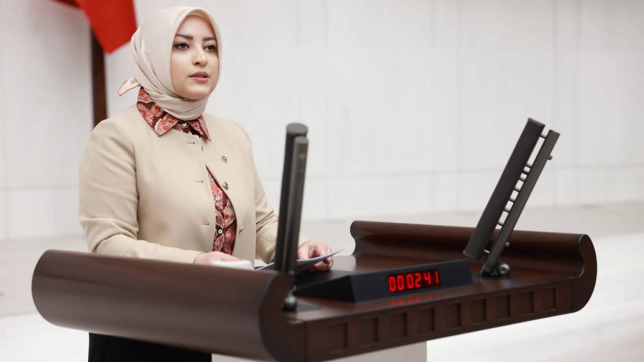 AK Parti'li Atabek'ten HDP'ye tepki: Dağa kaldırılan kız çocukları için de önerge verseydiniz keşke