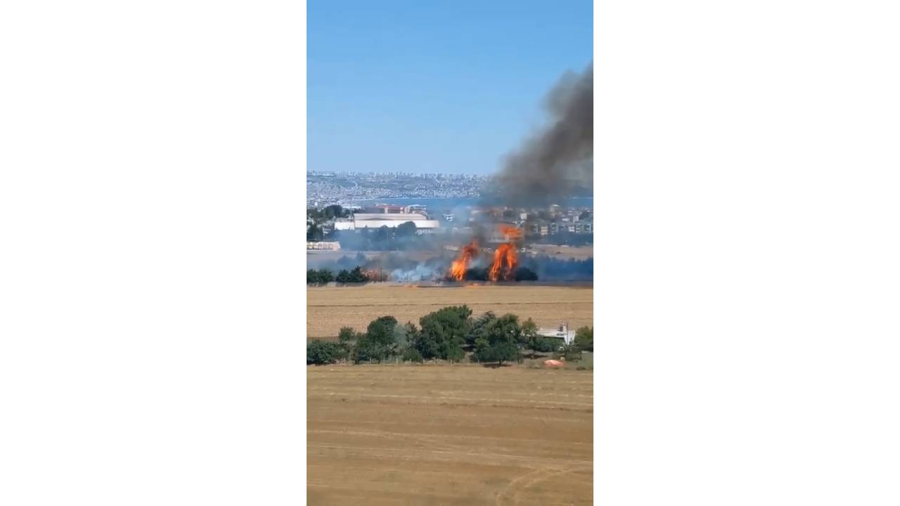 Büyükçekmece'de Anız Yangını Ayçiçek Tarlalarına Sıçramadan Söndürüldü