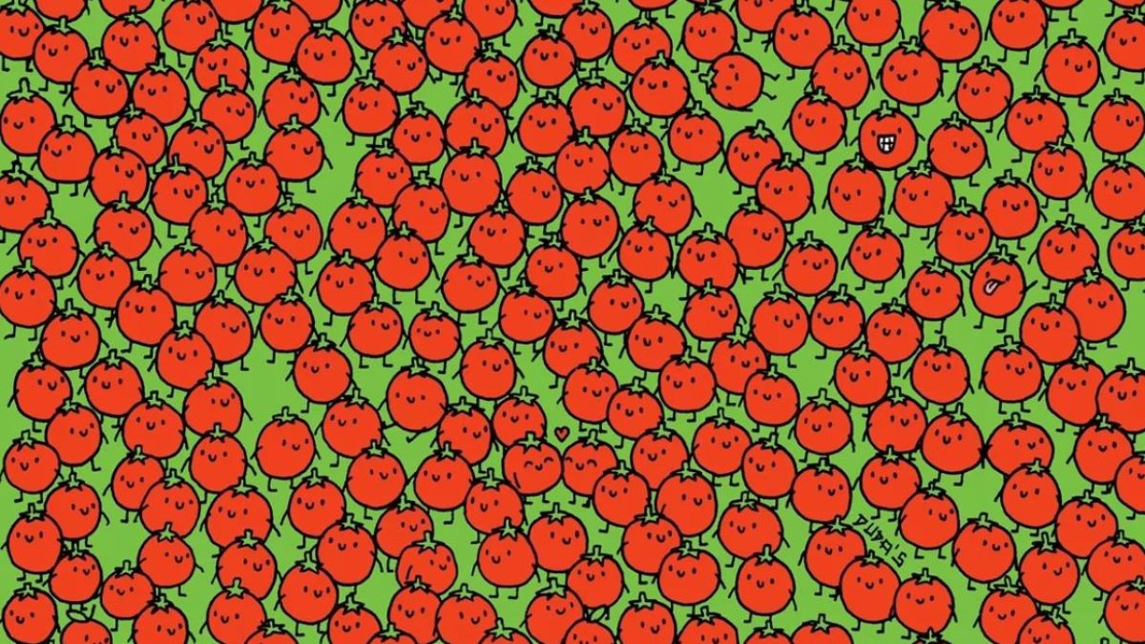 Seviyenizi ölçecek ilginç bir IQ testi; Zeki olan domateslerin arasındaki 3 çiçeği buluyor