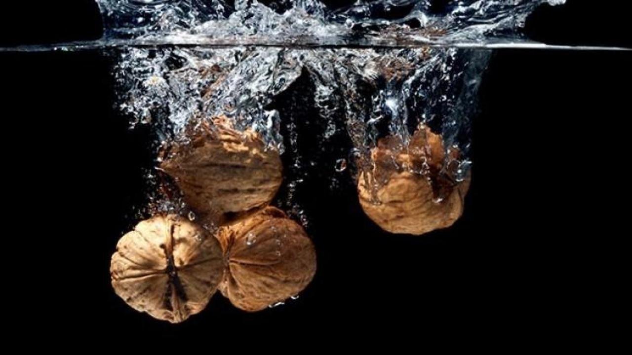 Bir kaç adet ceviz kabuğunu kaynatın ve saçınıza sürün. Bakın ne işe yarıyor