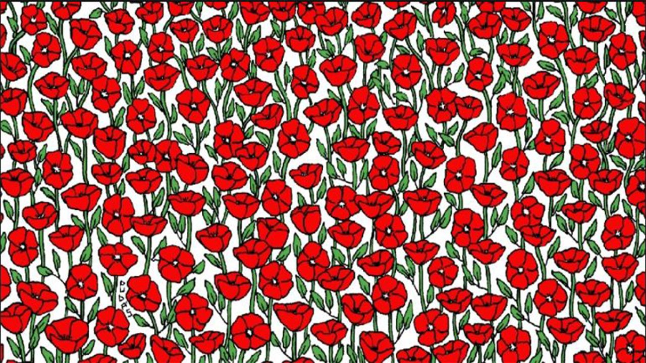 Çiçeklerin arasında gizlenmiş bir Yengeç! 9 saniyede bulursanız IQ'nuz 140'ın üzerinde demek!