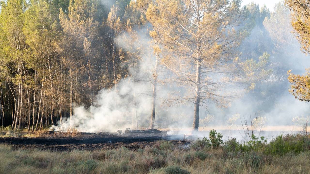 Fransa Ve İspanya’da Orman Yangınlarıyla Mücadele Devam Ediyor