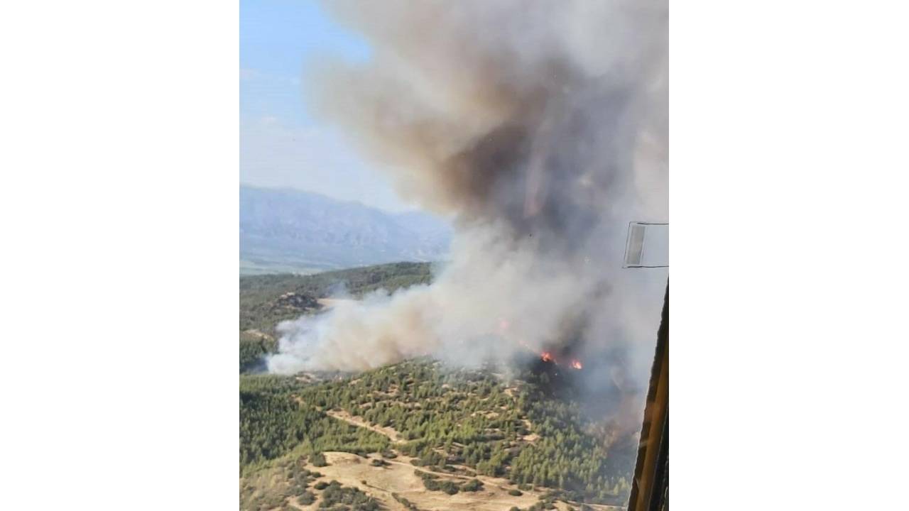 Aydın'daki Orman Yangınında 30 Hektarlık Alan Zarar Gördü