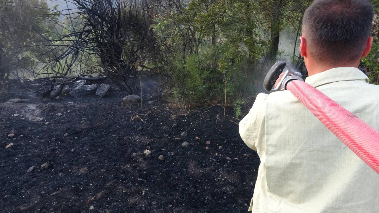 Balıkesir'deki Orman Yangınında Soğutma Çalışmaları Sürüyor