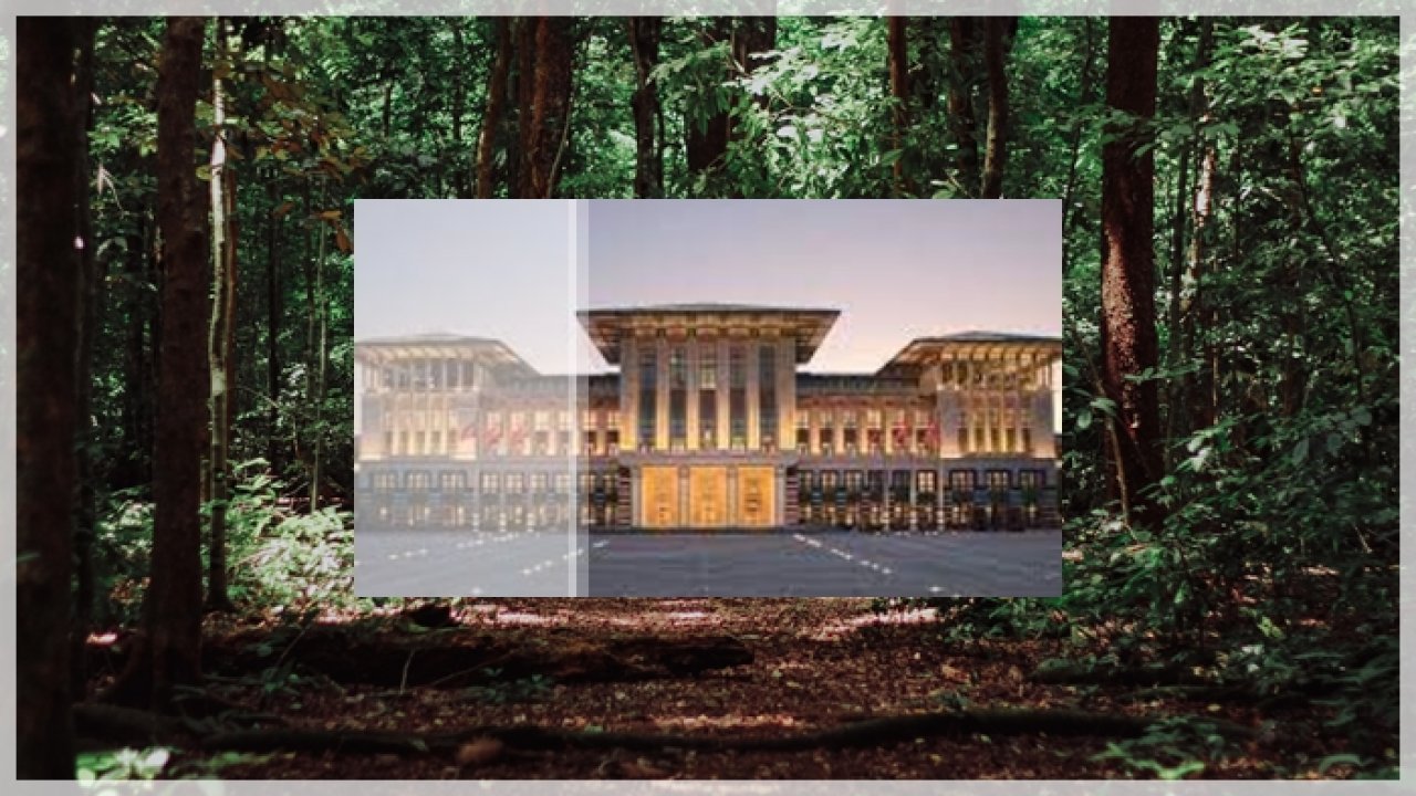 Mustafa Balbay'dan çok konuşulacak yazı: Mera ve ormanlara 'Saray' depremi geliyor!