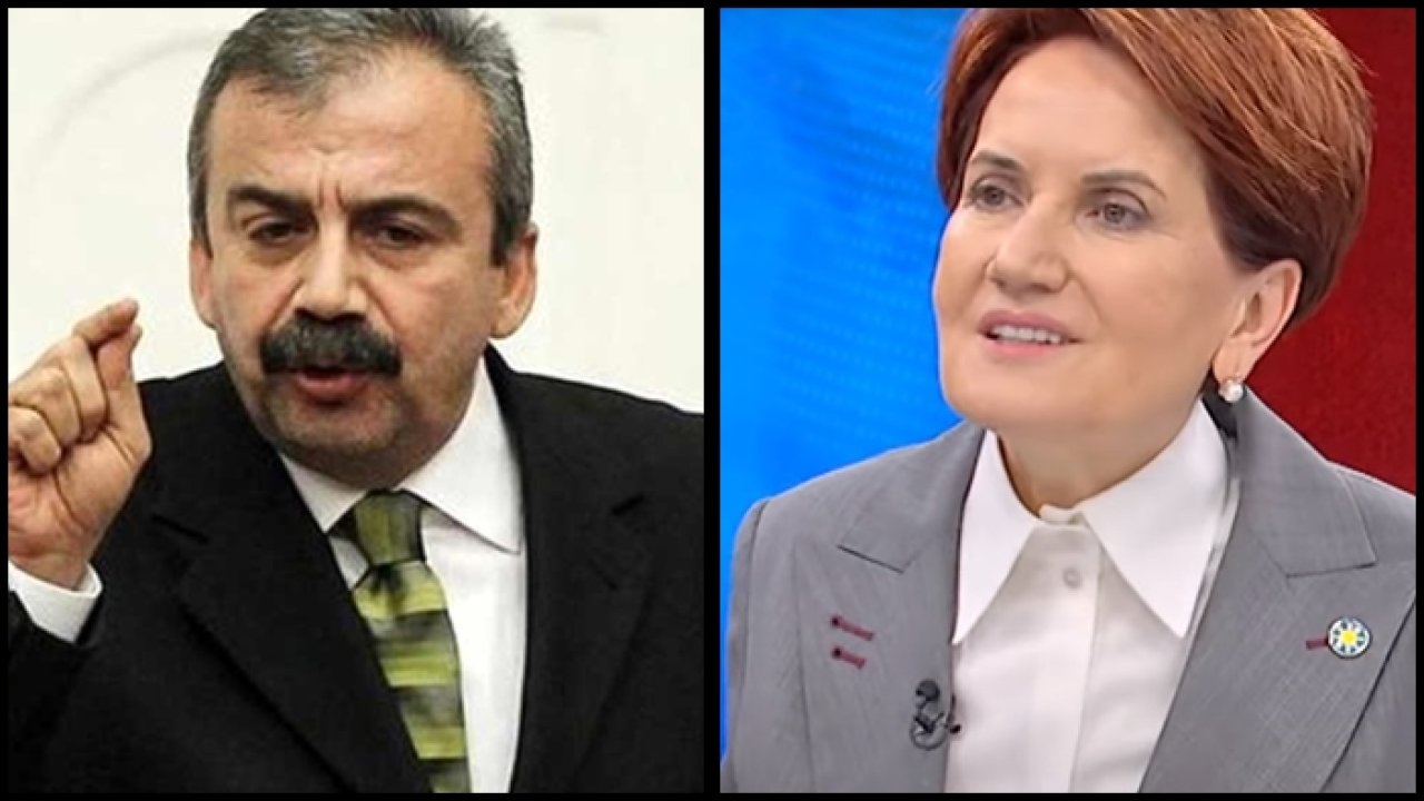 Akşener'in 'Kazanacak aday' açıklamasına bir tepki de Sırrı Süreyya Önder'den geldi: O zaman git ona çalış...