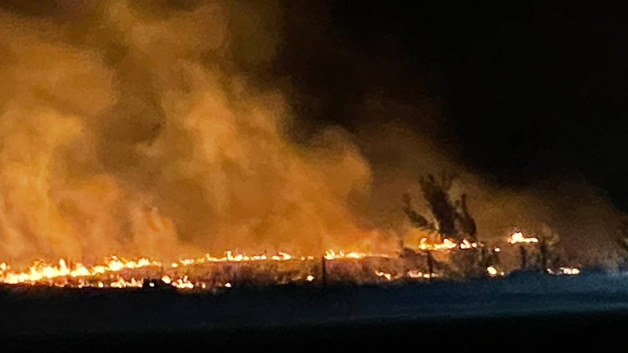 Leylek Sürüsü Anız Yangınına Neden Oldu