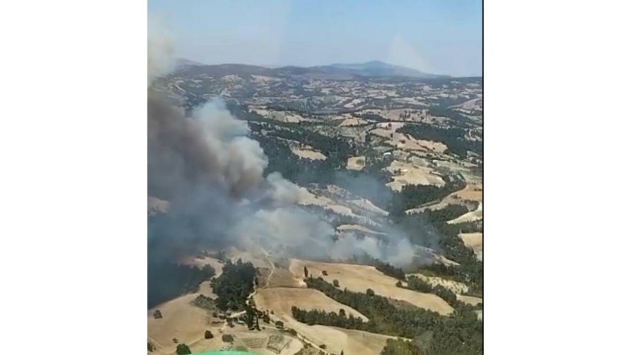 Manisa'da Orman Yangını Çıktı
