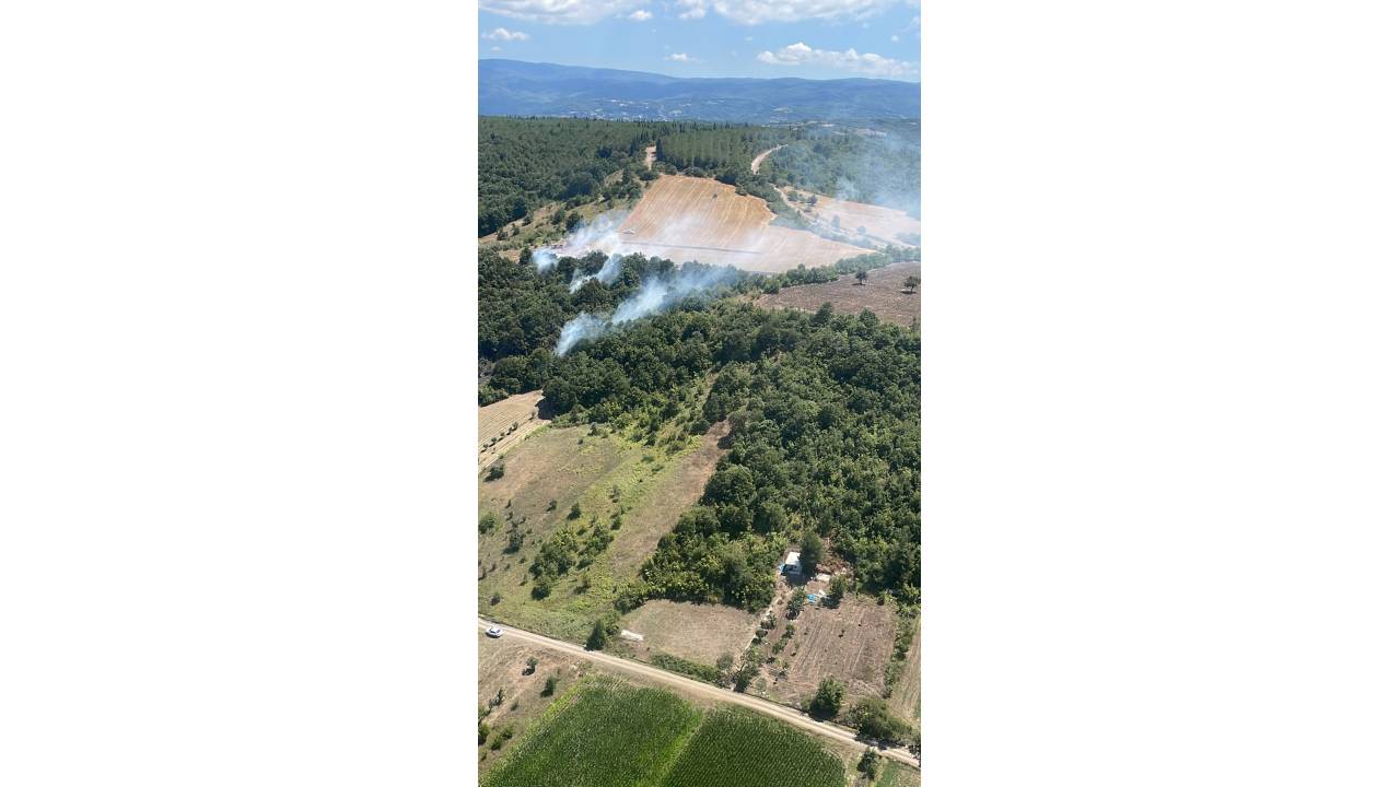 Bursa'da Orman Yangını, 1,5 Saatte Kontrol Altına Alındı