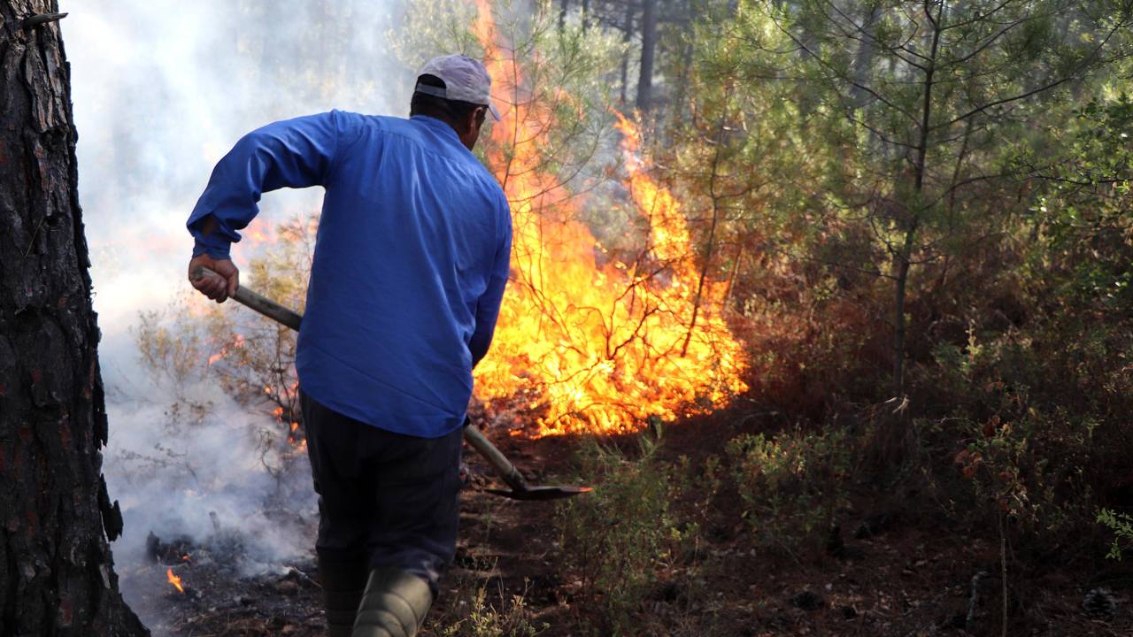 Manisa’da Orman Yangını (3)