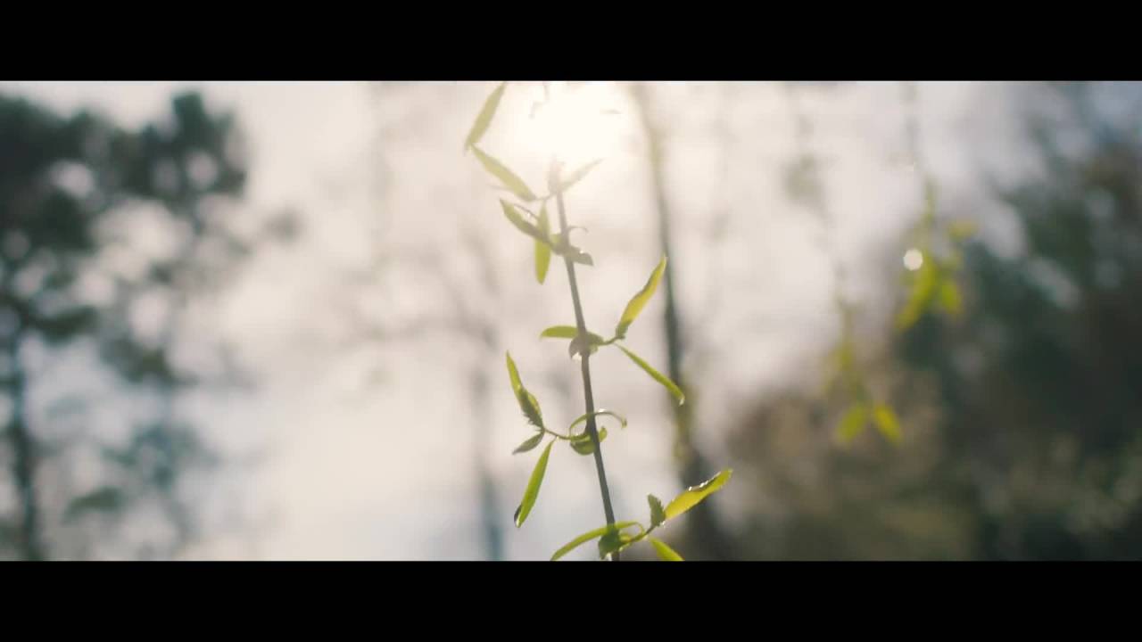 Kılıçdaroğlu, Cumhurbaşkanlığı Seçim Kampanyasını Başlattı: “Sana Söz Yine Baharlar Gelecek…”