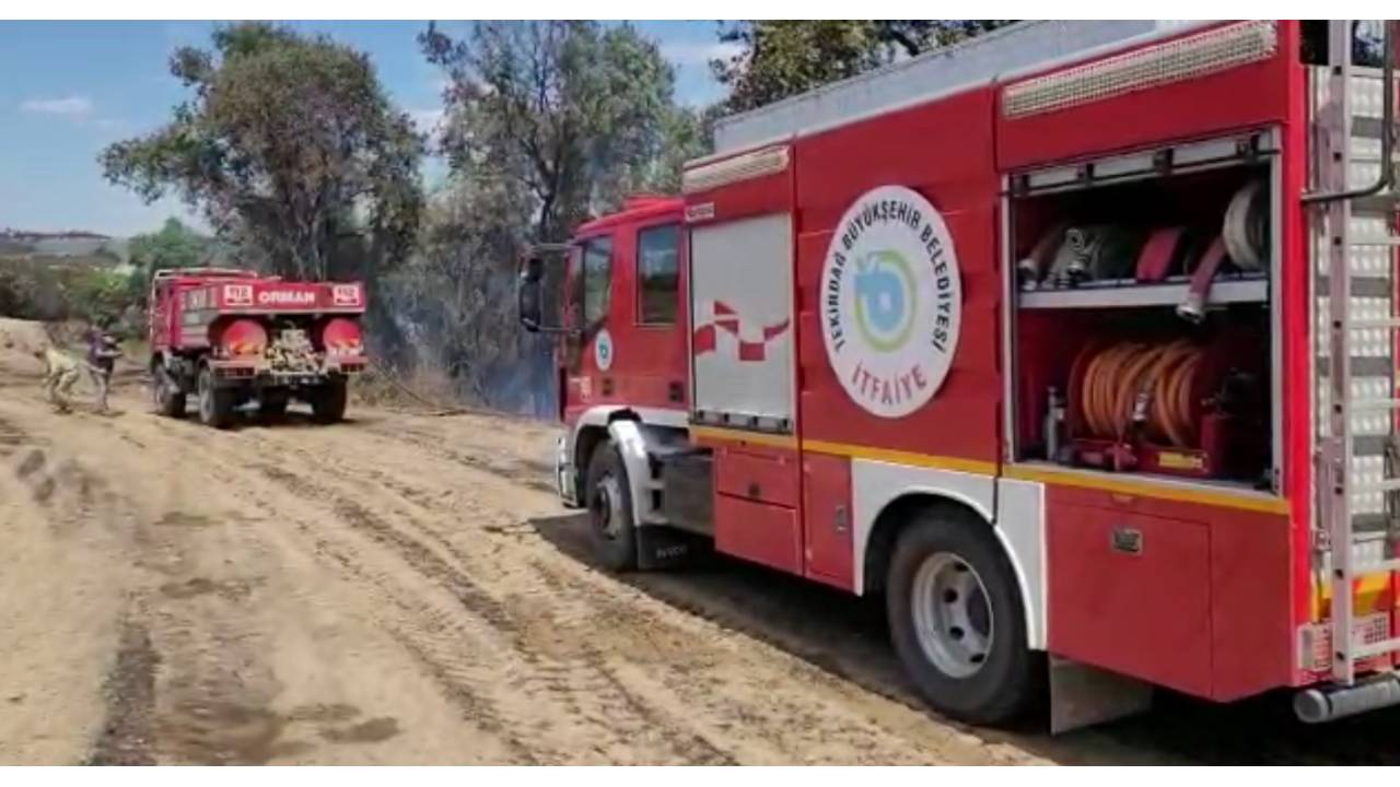 Tekirdağ'da Anız Yangını Ormana Sıçradı