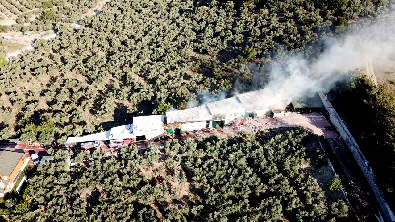 Bursa'da, Hayvan Çiftliğindeki Yangında Çok Sayıda Kanatlı Ve Küçükbaş Hayvan Öldü