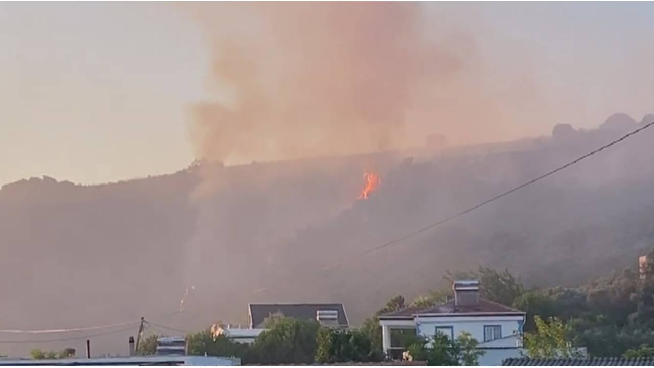 Mudanya'da Zeytinlik Alanda Çıkan Yangın Söndürüldü