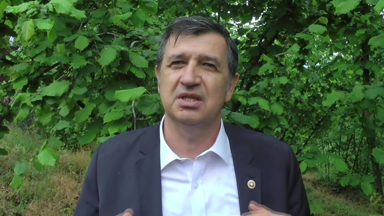 Okan Gaytancıoğlu: "Fındığı Biz Satıyoruz Ama Maalesef Kazanılan Para Maksimum 3 Milyar Dolar"