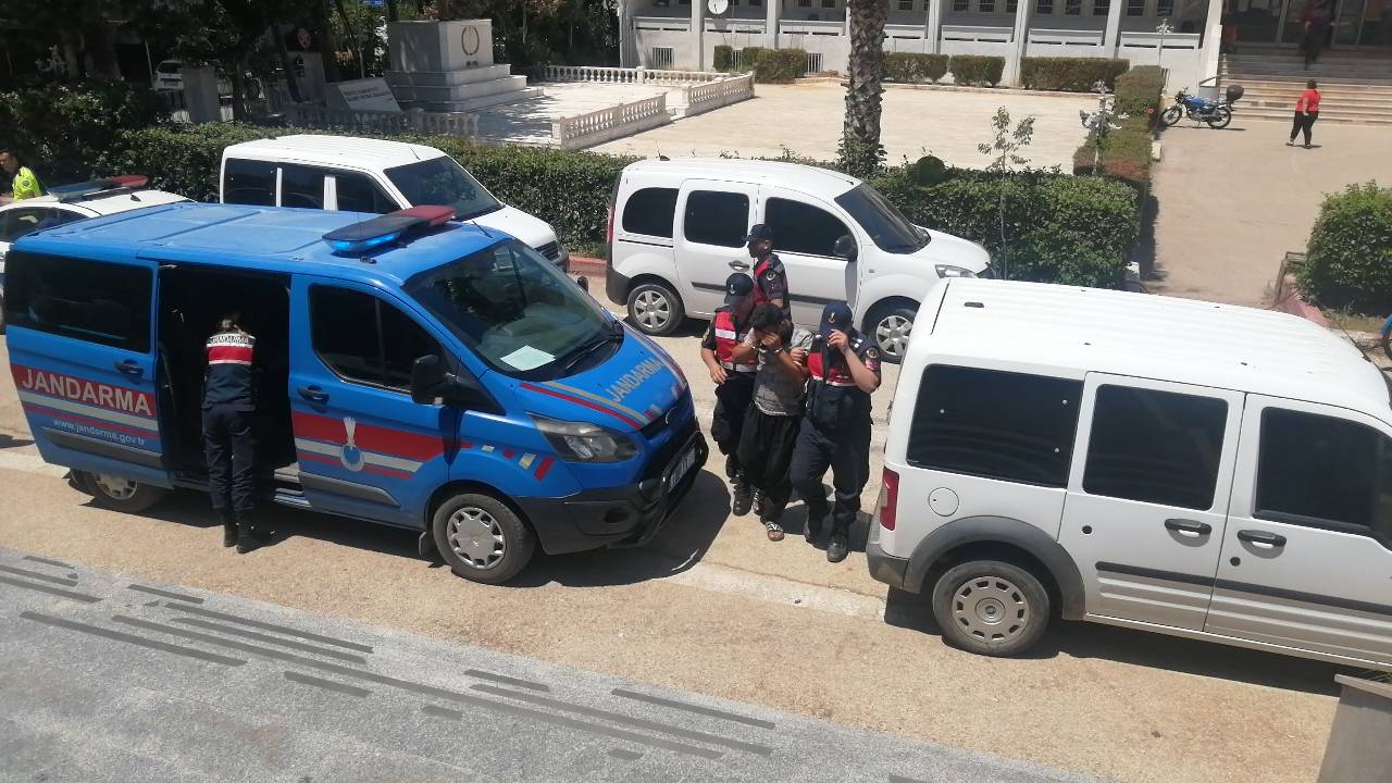 'izinsiz Keçiboynuzu Toplama' Cinayeti Ve Yaralamaya 3 Tutuklama