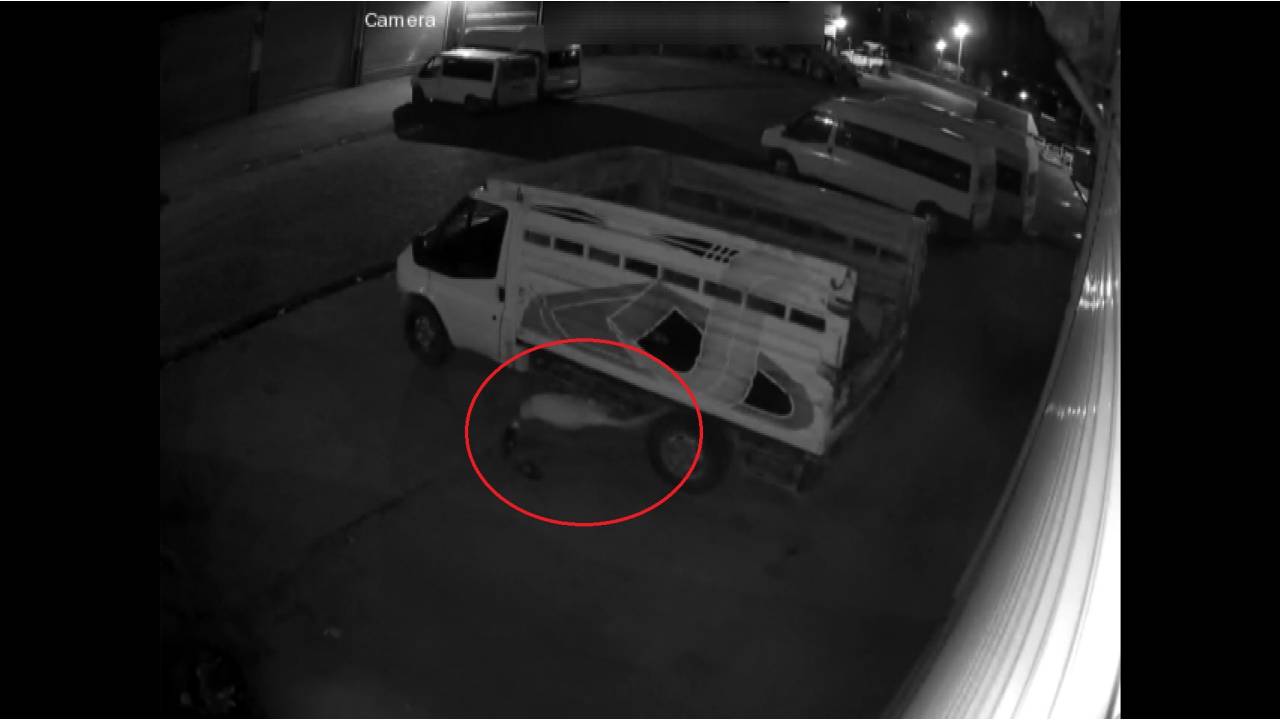 Kazalı Araçların 60 Bin Tl'lik Motor Aksamının Çalındığı 47 Gün Sonra Fark Edildi