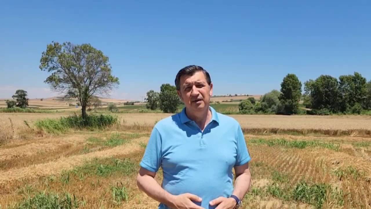 Okan Gaytancıoğlu: "Toprak Mahsulleri Ofisi, Buğdayını Satmak İsteyen Çiftçiye Randevu Vermiyor"