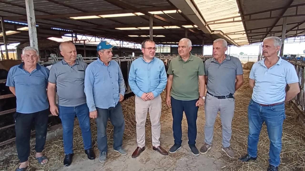 Evrim Karakoz: “Süt Üreticilerinin Büyük Çoğunluğu Hayvanlarını Kestiriyor. Bu İşi Bırakma Noktasına Geldiler”