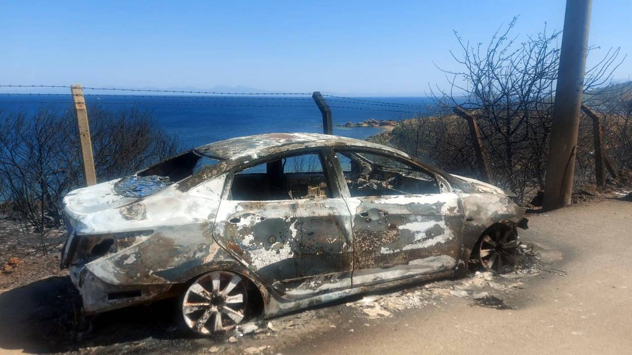 İzmir Seferihisar'da Orman Yangını (3)