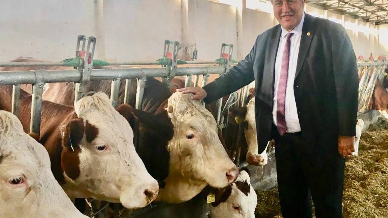 Chp’li Ömer Fethi Gürer Veteriner Hekimlerin Hakları İçin Kanun Teklifi Verdi