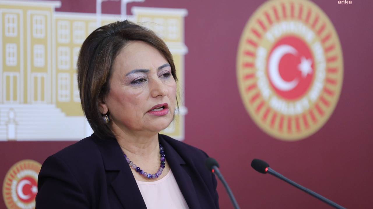 Müzeyyen Şevkin'den Bireysel Silahlanma İçin Araştırma Önergesi