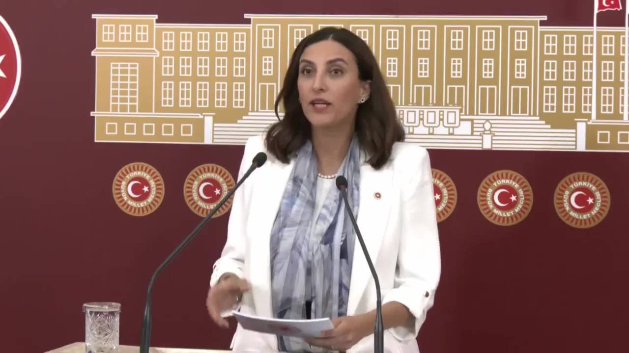 Evrim Rızvanoğlu: “Akbelen’i Savunmayı Bir Vatanperverlik Meselesi Olarak Görüyoruz”