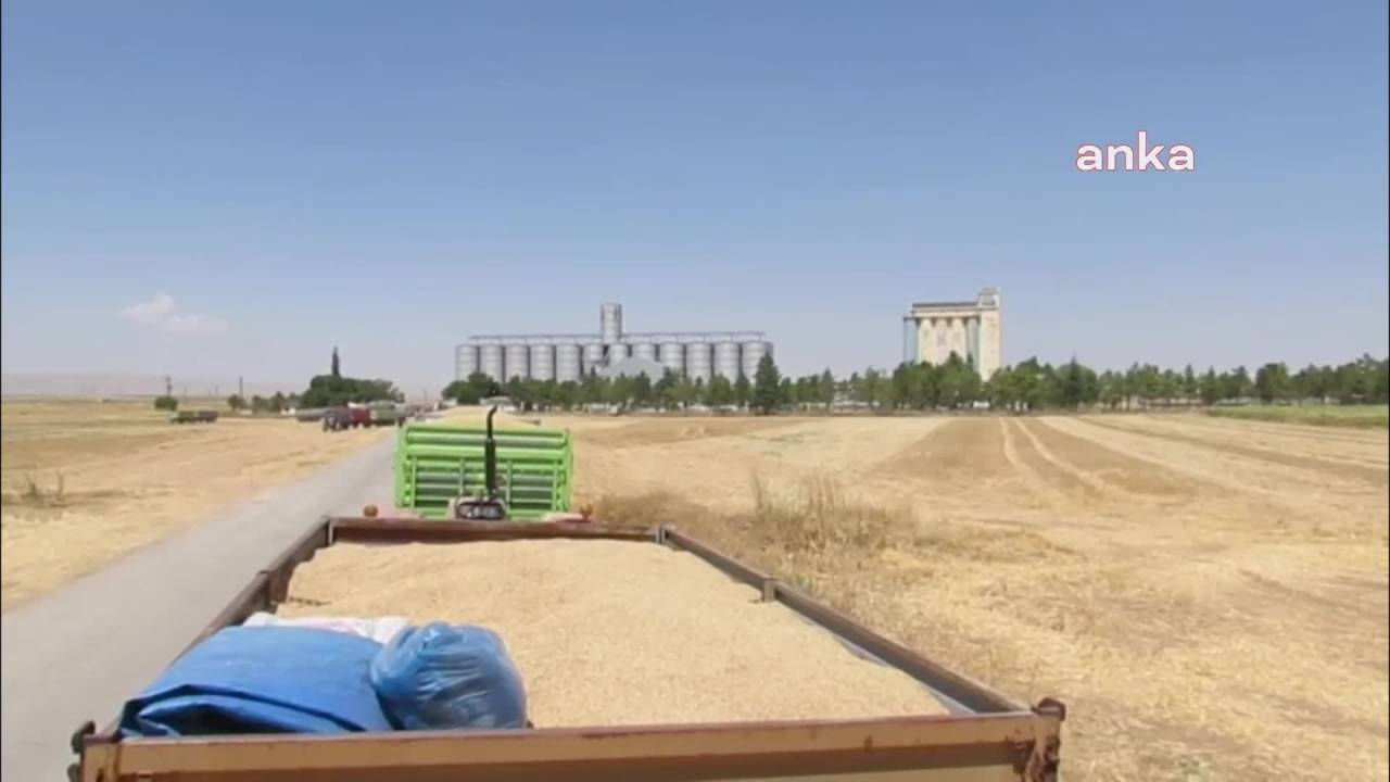 Konyalı Çiftçi: "Artık Ekim Yapmayacağım. Önümüzü Görsek Ekeriz Ama Önümüzü Göremiyoruz"